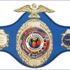 WKF European Champion Belt
